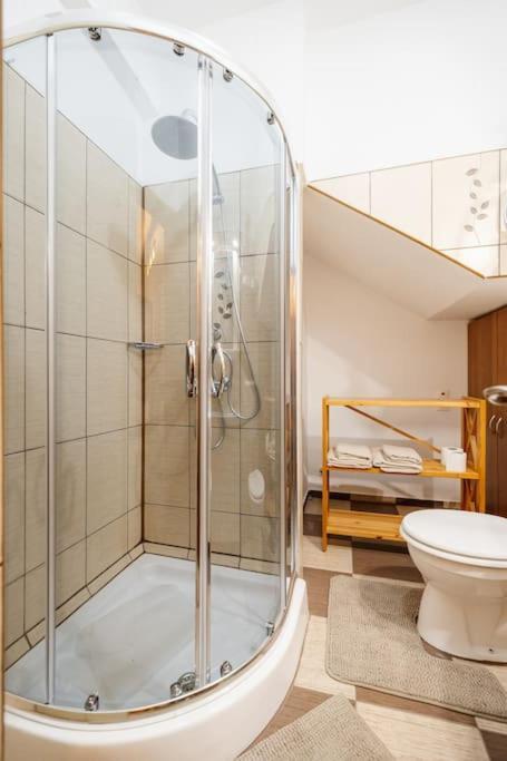 Casa Cu Turn Apartment Sibiu Ngoại thất bức ảnh