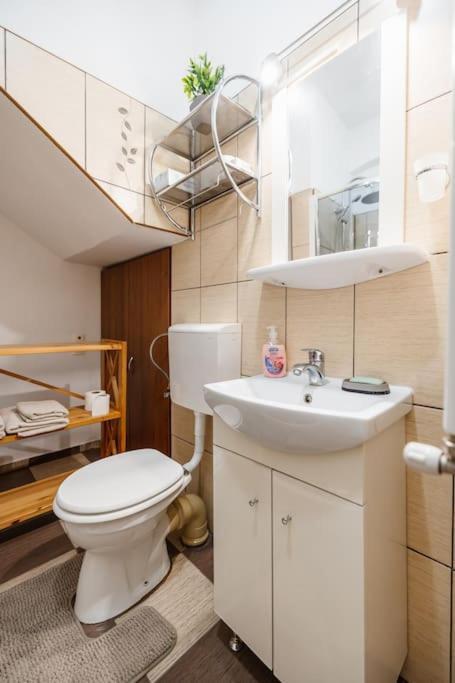 Casa Cu Turn Apartment Sibiu Ngoại thất bức ảnh